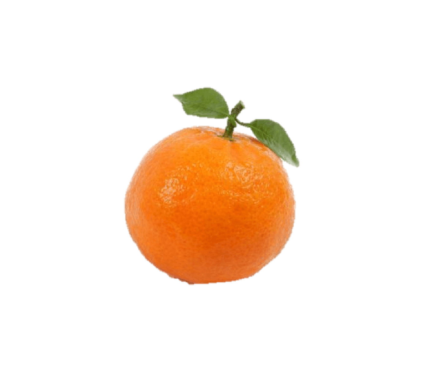 Mandarina